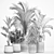 Tropical Plant Collection Ensemble 3D model small image 7