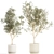 Modern White Pot Collection: Decorative Olive Trees 3D model small image 1