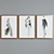 Modern Watercolor Portrait Frame Set 3D model small image 5