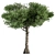Title: Sourwood Tree Collection 159 3D model small image 1