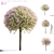 Japanese Willow Trees Bundle 3D model small image 1