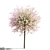 Japanese Willow Trees Bundle 3D model small image 4