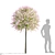 Japanese Willow Trees Bundle 3D model small image 5