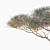 High-Quality Vachellia Tortilis Model 3D model small image 5