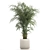 Modern Exotic Palm Plant Décor 3D model small image 1