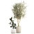 Modern Concrete Plant Collection: Olive and Ficus 3D model small image 5