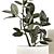 Modern Concrete Plant Collection: Olive and Ficus 3D model small image 6