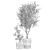 Modern Concrete Plant Collection: Olive and Ficus 3D model small image 7