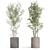  Botanical Bundle 922 3D model small image 3
