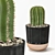 Succulent Trio Indoor Plant Set 3D model small image 5