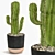 Succulent Trio Indoor Plant Set 3D model small image 6