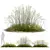 Stipa arundinacea Sweet Grass Model 3D model small image 1