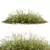 Stipa arundinacea Sweet Grass Model 3D model small image 2