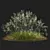 Stipa arundinacea Sweet Grass Model 3D model small image 3