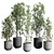 Modern Indoor Plant Set 3DMAX 3D model small image 1