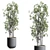 Modern Indoor Plant Set 3DMAX 3D model small image 2