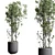 Modern Indoor Plant Set 3DMAX 3D model small image 3