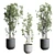 Modern Indoor Plant Set 3DMAX 3D model small image 6