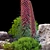 Plants & Rocks Collection Vray Model 3D model small image 4