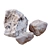 Plants & Rocks Collection Vray Model 3D model small image 6