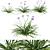 Douglas Iris 2017 Model 3D model small image 1