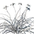 Douglas Iris 2017 Model 3D model small image 4