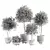 Botanical Collection Set Vray 3DMax 3D model small image 2