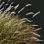 Golden-Spiked HQ Grass Ornament 3D model small image 2