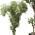 Bonsai Olive Tree Collection 97 3D model small image 5