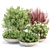Outdoor Plants 3D Model Collection 3D model small image 1