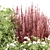 Outdoor Plants 3D Model Collection 3D model small image 2