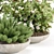 Outdoor Plants 3D Model Collection 3D model small image 3