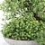 Outdoor Plants 3D Model Collection 3D model small image 4