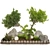 Outdoor Plant Collection Set Renderings 3D model small image 6