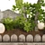 Outdoor Plant Collection Set Renderings 3D model small image 9