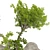 Outdoor Plant Collection Set Renderings 3D model small image 11