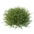 Modern Olive Little Ollie Fixture 3D model small image 2