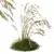 Iberian Giant Feather Grass Model 3D model small image 2