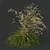 Iberian Giant Feather Grass Model 3D model small image 3
