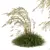 Iberian Giant Feather Grass Model 3D model small image 4