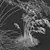 Iberian Giant Feather Grass Model 3D model small image 5