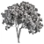 Sourwood Tree Set 163 3D model small image 1