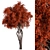 Red Maple Tree Collection 166 3D model small image 1