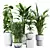 Tropical Plants Set 25 3D model small image 1