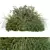 Botanical No.8 Figurine Kit 3D model small image 1