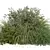 Botanical No.8 Figurine Kit 3D model small image 2