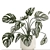 Tropical Monstera Vertical Garden Set 3D model small image 7