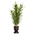  Indoor Plants 4 Pack Bundle 3D model small image 2