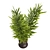  Indoor Plants 4 Pack Bundle 3D model small image 3