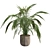 Exotic Palm Tree Pot Collection 3D model small image 1